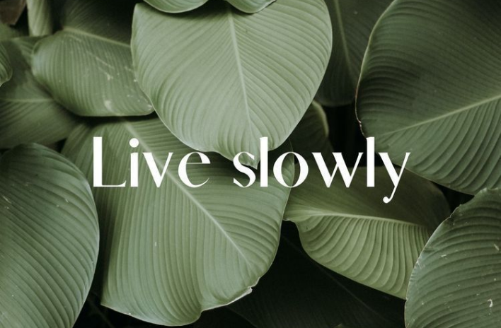 AnnemiekLindhout-april-2@2x